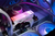 32Gb DDR5 5600MHz Kingston Fury Beast White RGB (KF556C40BWAK2-32) (2x16Gb KIT)