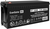 ExeGate FineSine SX-1000.LCD.AVR.2SH + DT 12200 (200Ач)