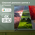 Digma 65" DM-LED65UBB40