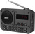 Ritmix RPR-010