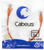 Cabeus PC-UTP-RJ45-Cat.5e-0.3m-OR, 0.3м