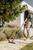 Karcher WD 3 S V-15/4/20