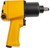 Denzel IW860 (57473)