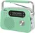 Ritmix RPR-045 Mint