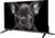 TopDevice 24" TDTV24CS08H Black