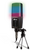 Ritmix RDM-170 Black