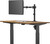Cactus CS-VM-D49-BK Black