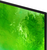 Samsung 65" QE65QN80HAUXPY