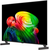 LG 55" OLED55B6RLA