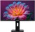IRBIS 24" SmartView 24 (ISM24FIDRVesa)