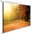 Cactus WallExpert 125x200см (CS-PSWE-200X125-WT)