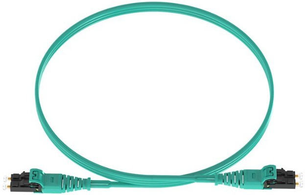 Panduit FZ2ELQ1Q1SNM001, 1м
