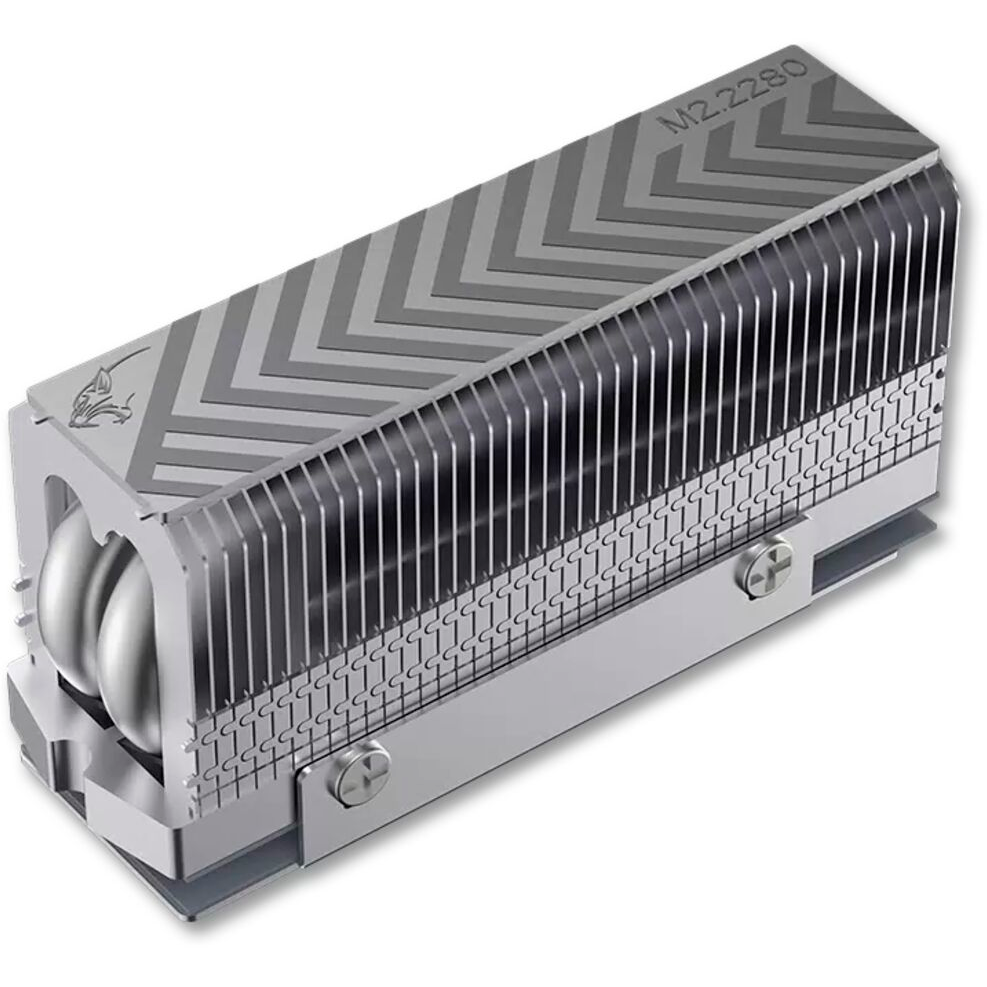 Coolleo CL-V2SSD Silver