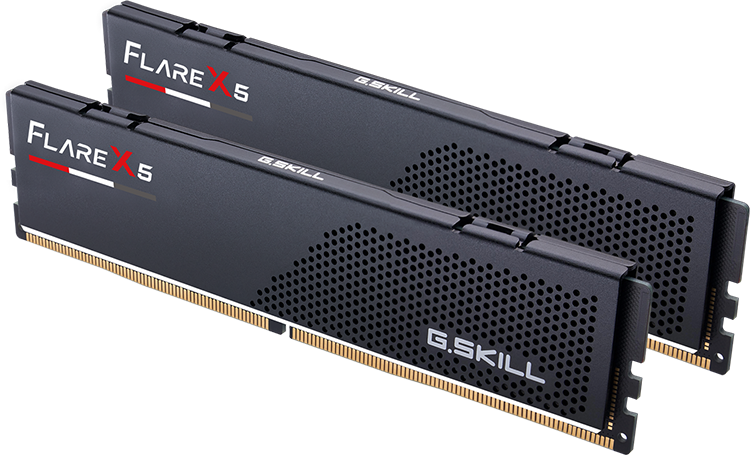 32Gb DDR5 6000MHz G.Skill Flare X5 (F5-6000J2836G16GX2-FX5) (2x16Gb KIT)