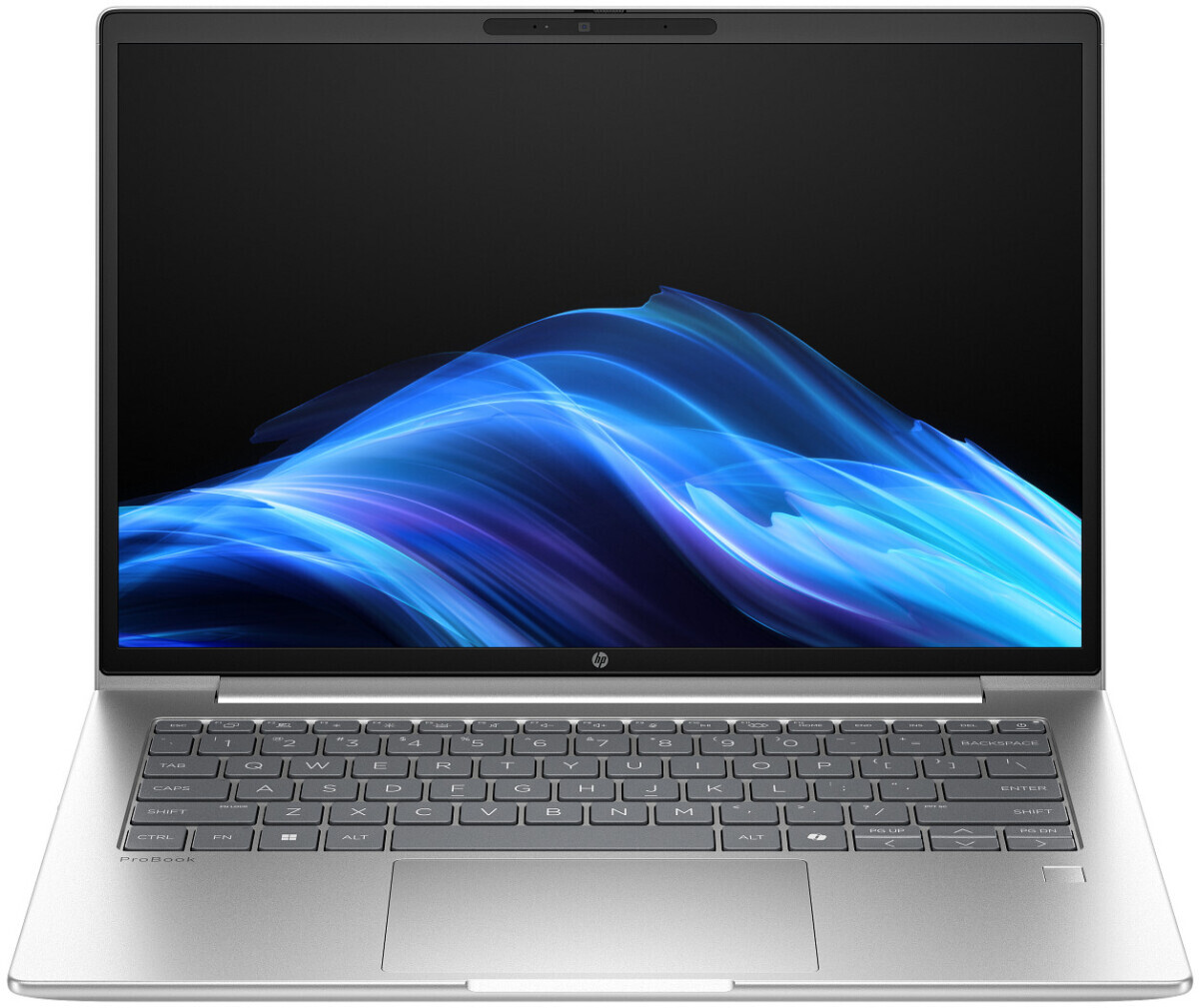 HP ProBook 4 G1i 14 (D0VG6ET)