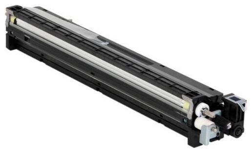 Ricoh D1773035 Black